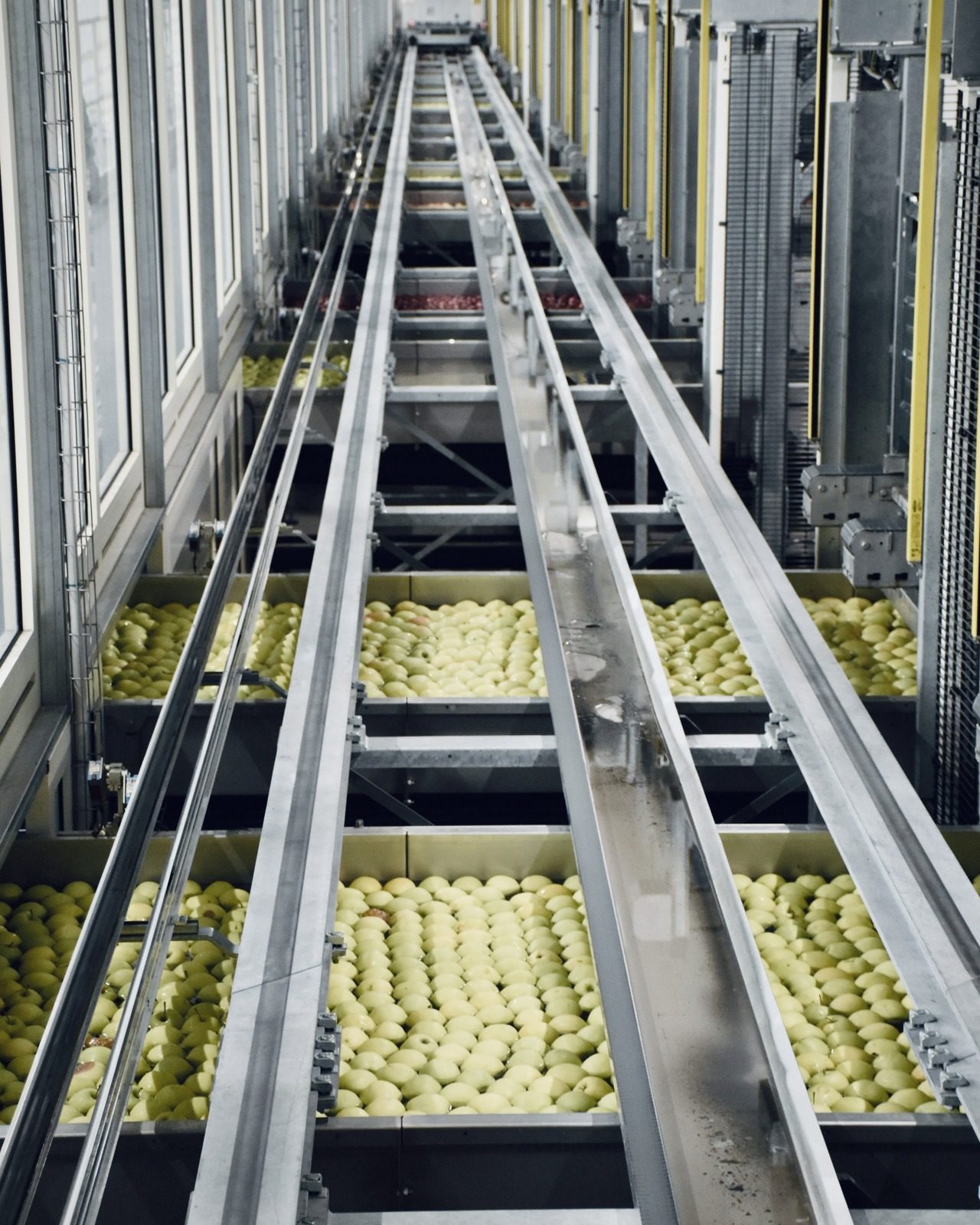 Processamento de Frutas